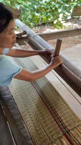 เสื่อ สาด ใช้ปูนอน ปูนั่ง ใช้ในกิจกรรมต่างๆจากฝีมือชาวบ้าน  วัสดุจากท้องถิ่น  ใช้ต้นปรือ อีสานเรียกว่า ต้นผือ ภาคกลางเรียก กกสามเหลี่ยม ทั้งต้นในการทอ