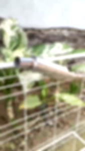 Bahan Knalpot Kondoman Sarteng & Leher Mio Sporty