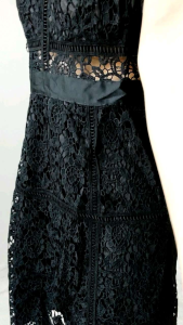 51601 Lexinna Lace Mini Dress Gaun Brokat Elegan