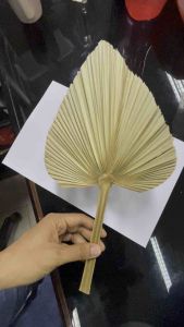 Daun Palem Kering Artifisial Import Dekorasi Elegant Dried Palm Fan Leaves - Long Stem Tropical Foliage - Perfect for Home Office and Wedding Decor