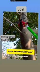 Gunting & Gergaji Multifungsi: Alat Tukang untuk Kebun