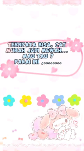 Lem Penguat Cat Tembok membuat cat biasa menjadi lebih bandel dan tahan air waterproof dan no drop