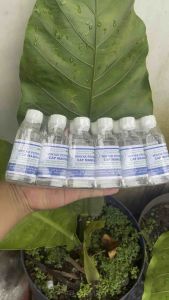 MINYAK PIJAT CAP SATU MANDAU