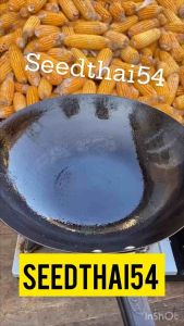 เมล็ดพันธุ์ข้าวโพดป๊อปคอร์น บรรจุ45-50เมล็ด