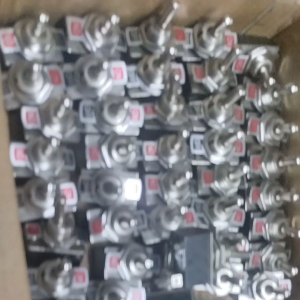 Toggle Switch 2 Pins: Medium Size & Heavy Duty