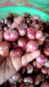 Bawang Merah Besar 500gr: Cara Memilih & Menggunakan