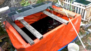 Umpa Jadi Ikan Wader Classic Seris