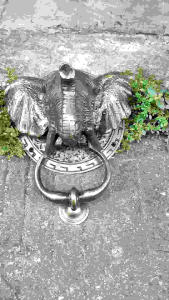 Ketukan Pintu Kuningan Antik Motif Gajah Afrika 1 Pcs