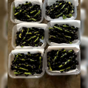 BENIH BAYAM MALABAR | ANGKUNG (KEMASAN ORIGINAL) ISI-+120BUTIR