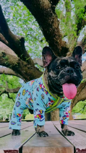 ชุดหมา-แมว ชุดกันขนร่วง ลายยูนิคอน