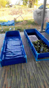 39 Super หนา 0.35 mm กระชังบกบ่อผ้าใบ PE 200 มาตรฐานการใช้งาน