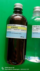 สีย้อมเบื้องต้น Gram stain 4 set