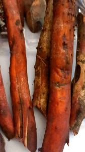 Akar Pinang Segar Original 1 Kg: Manfaat & Cara Penggunaan