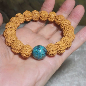Gegegems premium 14mm+ 5 Mukhi (Faces) deep lines Tree King Double Dragons Panlong Rudraksha and 16.1mm Chrysocolla bracelet