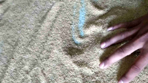 Telur Jangkrik Alam Sliring 250gram