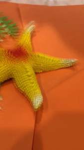 Sea Animal ของเล่นรูปสัตว์น้ำ คละแบบ 1 แพ็ค มี 6 ชิ้น ของเล่นเพื่อการเรียนรู้