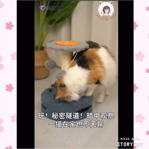 [READY STOCK] Cat Climbing Frame Tree Cat House Cat Tower Cat Tree Cat Scratcher Cat Toy Playhouse | 猫爬架 猫树 猫抓板 猫磨爪猫屋猫解闷