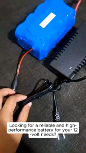 12Volts 12Ah LiFePo4 with BMS Balancer and Charger. Good for Motorcycle Solar Storage or any 12V