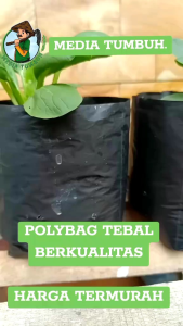 Polybag Tanaman 30x30 Cm 15 Lembar Termurah Awet Tebal Berkualitas