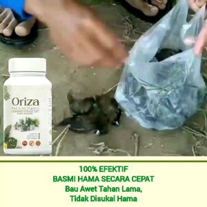 Obat Hama Tanama Oriza 3 gratis 1