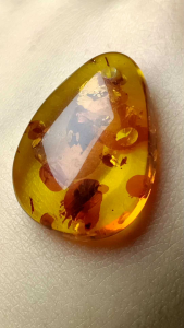 (Certificate) Natural Flower Amber Stone Pendant （证书）天然精品花珀吊坠 琥珀吊坠 漂亮花型 实物花片特闪