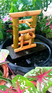 ไม้ไผ่น้ำไหลและเท สไตล์ญี่ปุ่น ไม่รวมปั้ม สูง35 ซ.ม.กว้าง 30ซ.ม ทดสอบก่อนจัดส่งแล้ว ไม้ไผ่ญี่ปุ่น ไม้ไผ่ญี่ปุ่น ราคา ไม้ไผ่ญี่ปุ่น ซื้อที่ไหน - Lazada