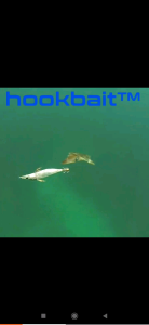 Isi 5 Pancing Cumi Rubber Size 1.0 Karet Premium Hook Nyala Dalam Gelap Apollo Ikan Udang Squid Jig