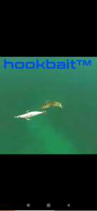 Umpan Pancing Cumi Premium Hook Size 3.5 & 3.0 Udang Udangan Menyala Dalam Gelap Samko Egi