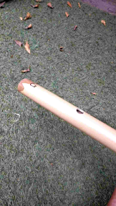 SERULING DANGDUT Nada dasar G berkualitas