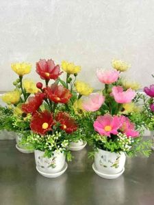 Chậu hoa voan cao 20cm ngang 16cm