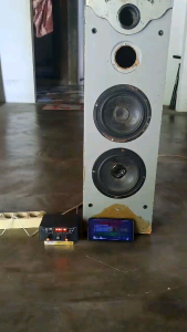 Ampli mini 5v dengan mp3 player daya cas hp atau powerbank