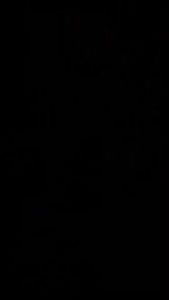 Giày Thể Thao Đa Năng MESÚT OMNI Giày Cầu Lông Futsal Pickleball Bóng Chuyền Bóng Bàn Sport