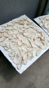 CỦ BẠC HÀ NÚI NHÀ LÀM SẠCH SẼ PHƠI KHÔ CHẤT LƯỢNG( GÓI 500GR)