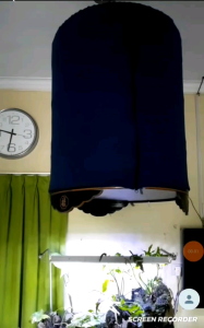 Krodom Murai Desain Elegan & Berkualitas