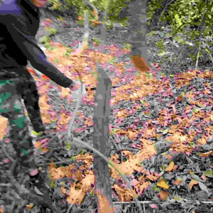 พร้อมส่ง มีดพกปลายแหลมเดินป่า พร้อมปลอก ของแท้ (ส่งด่วนทันใจ)