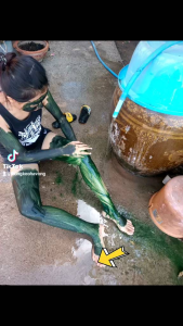 ผงสาหร่ายออแกนิคแท้ผิวปัง