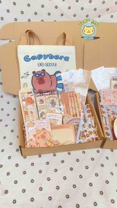 Set Quà Đồ Dùng Học Tập Capybara Chuột Lang Quà Tặng Cho Các Bạn Học Sinh