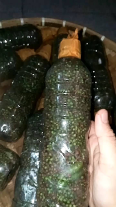ANDALIMAN SEGAR BERAT 250 Gram