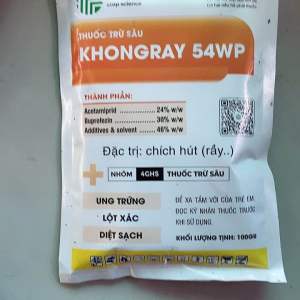 Không Rầy chuyên rầy xanh rầy trắng