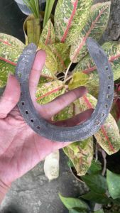 LUCKY CHARM HORSE SHOE USED BLESSED CLEANSED AND RITUALIZED