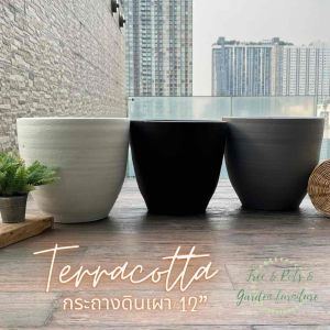 กระถางต้นไม้ดินเผาขนาดดี 12 นิ้ว ทำจากดินเผาทำให้เหมาะสมกับการผลิตไม้ฟอกอากาศ ไม้มงคล ไว้ตกแต่งพื้นที่สวนไว้ ระเบียงจากห้องเช่า ระดับความน่าสนใจ 100%