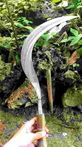 Arit rumput model landur asli buatan Madura cocok untuk potong rumput atau padi dan semak belukar