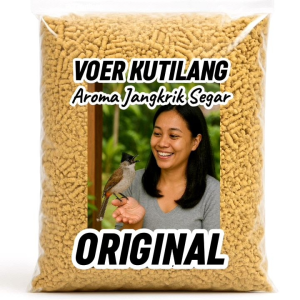 VOER KUTILANG. PUR BURUNG KUTILANG. RASA JANGKRIK. VOER MAKANAN BURUNG KUTILANG.