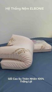 (SALE) SỐC : GỐI CAO CẤP THẮNG LỢI : Gối Cao Su Thiên Nhiên 100% Thắng Lợi Chính Hãng - Quà áo gối lụa Tencel