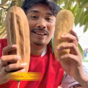 [Virladia Seeds] Biji Benih tanaman Luffa | Loofah