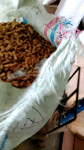 Kacang Tanah Kacang Mentah Kacang Kulit Kacang Garing
