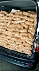 2 Kg Kacang Kedawung PREMIUM Matang Siap Makan Biji Sengon Mindik Trembesi Kedawong Kedaung