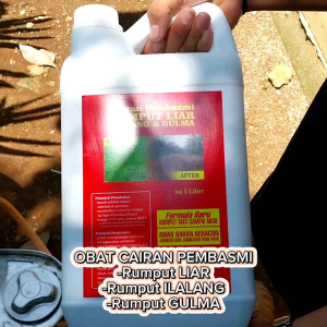 Pembasmi Rumput Liar & Ilalang: Mati Sampai Ke Akar & Ramah Lingkungan