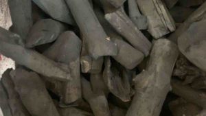 Than củi trồng Lan ( than đã qua xử lý ) có thể nấu nướng.