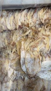 丁加奴 吊片 鱿鱼片 Dried Loligo Sotong Kering (100g)